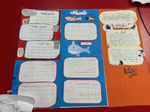 photo_2024-11-21_23-23-37