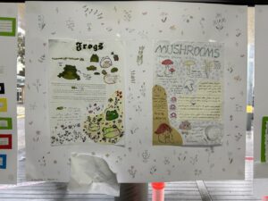 photo_2024-11-21_23-23-53